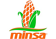 Grupo Minsa